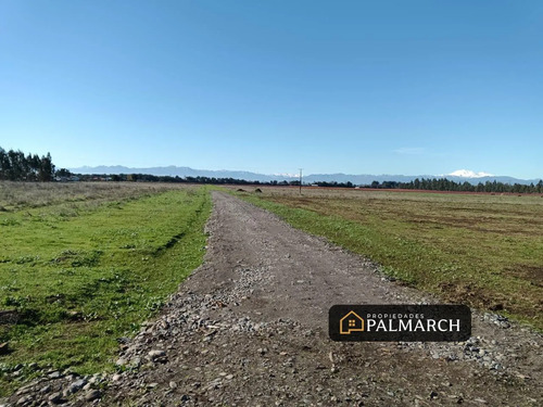 Parcelas En Venta 5000m2 Camino A Cato Chillán