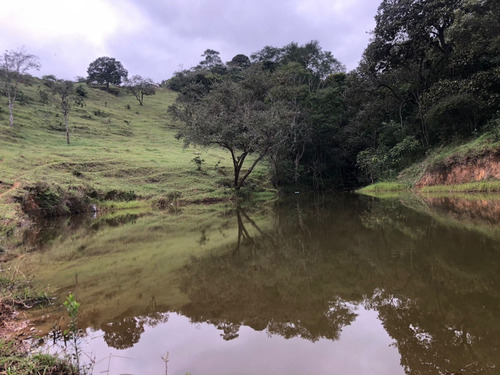 Imagem 6 de 9 de Preços Íncriveis Você Só Encontra Por Aqui