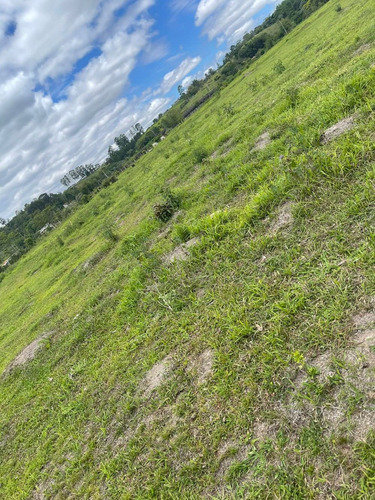 Imagem 5 de 14 de 08 - Terrenos 3 Km Da Dom Pedro- Bairro Jamic