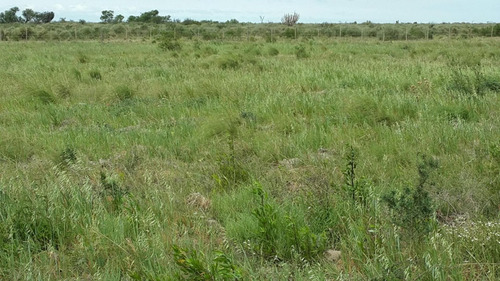 Imagen 11 de 21 de Campo Ganadero Trabajando