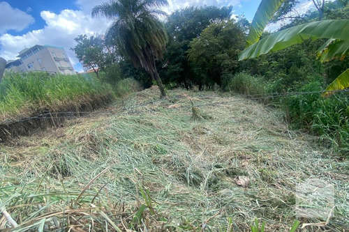 Imagem 11 de 13 de Lote À Venda No Alto Caiçaras - Código 276550 - 276550