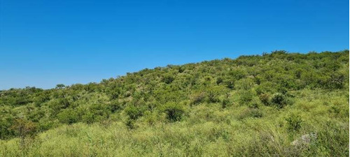Imagen 17 de 29 de Venta Campo Falda Del Cañete-8,5 Has- Con Vista