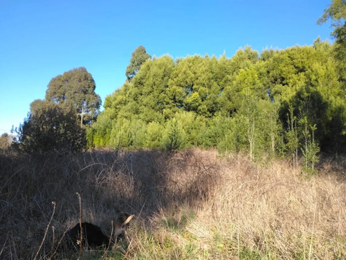 Terreno De 3,9 Há En Osorno Para Proyecto Inmobiliario Mixto