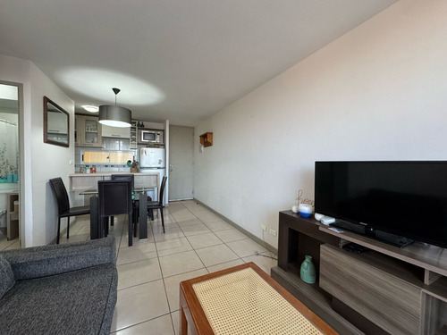 Arriendo Marzo A Dic 3d 1b Amoblado Gc E Internet Incluido
