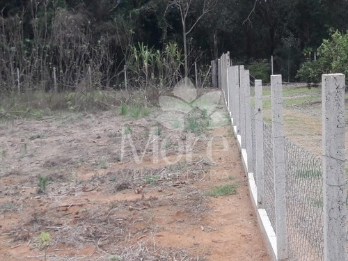 Imagem 28 de 30 de Chácara 11.000m² Em Engenheiro Coelho - Ch00014 - 33452159