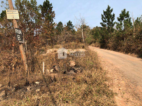 Imagem 10 de 13 de Chácaras, São Lourenço Da Serra - R$ 89 Mil, Cod: 4305 - V4305