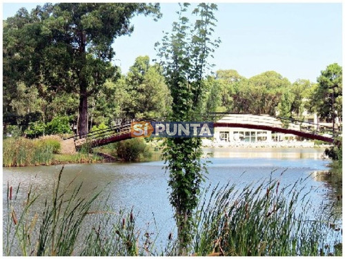 Imagen 22 de 30 de Apartamento En Alquiler Anual