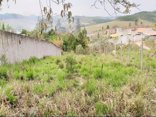 Imagem 2 de 7 de Terreno - Te00140 - 69302923