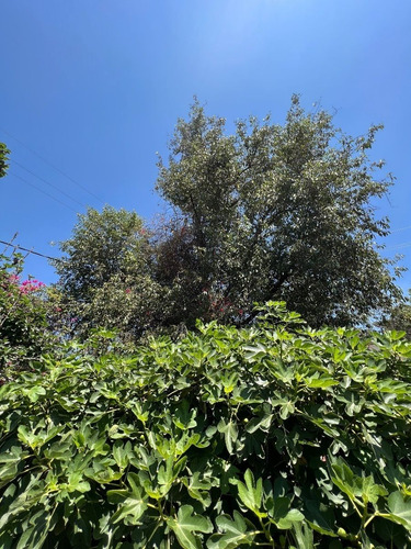 Vendo 2 Terrenos Planos, Las Arboledas, Sección Glorieta Ht527