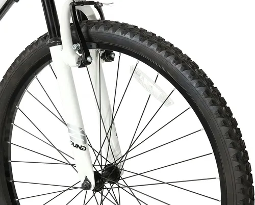 Dynacraft Firestorm Bicicleta Infantil De Calle Y De Cross