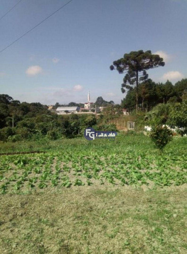 Imagem 9 de 15 de Chácara Com 3 Dormitórios À Venda, 18000 M² Por R$ 1.199.000,00 - Colônia Murici - São José Dos Pinhais/pr - Ch0046