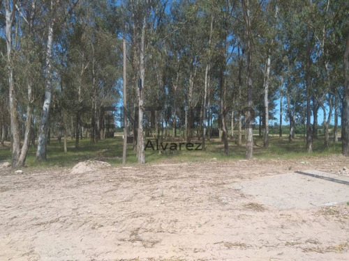 Imagen 8 de 25 de Venta De Lote De Terreno De Chacra Ideal Inversores