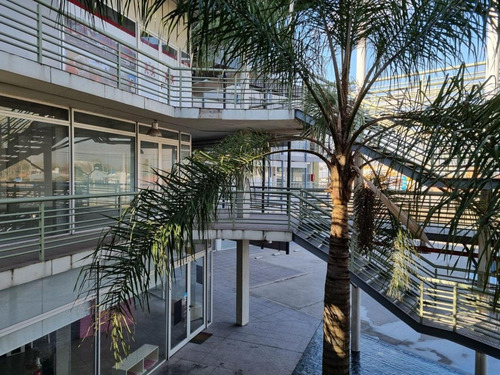 Financiado - Local / Oficina Planta Baja 52 M²