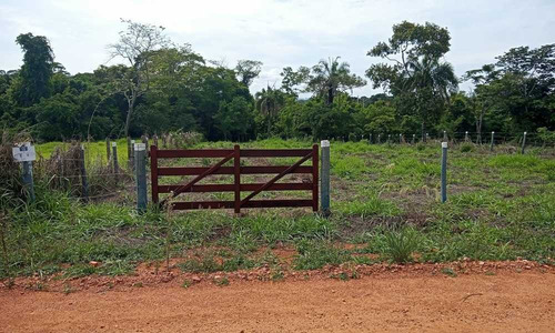 Imagem 3 de 12 de Condomínio Galileia Terra Santa - 3067