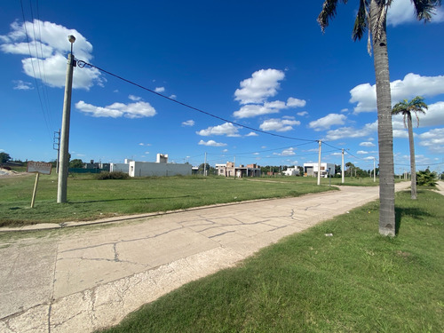 Venta De Lote En Roldan El Molino