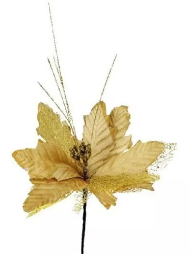 Segunda imagem para pesquisa de flor dourada