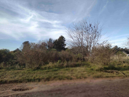 Imagen 4 de 12 de Venta Terreno 3.000 M2 En Pilar