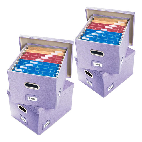 Prandom Caja Organizadora De Archivos, Juego De 4 Carpetas P