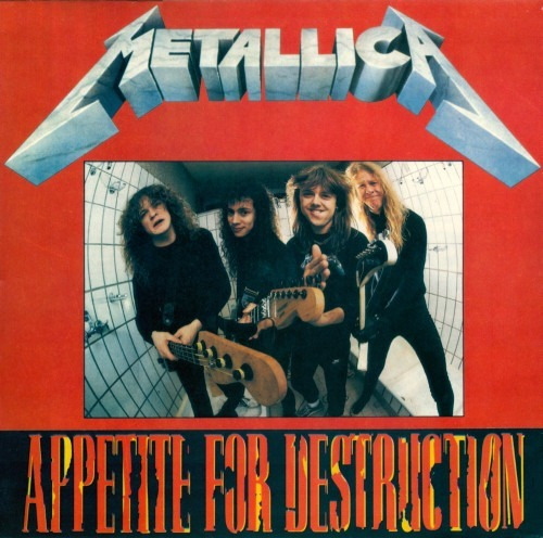 Metallica Appetite For Destruction Vinyl