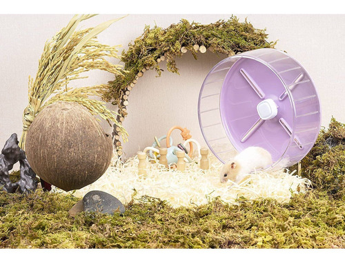 Imagen 8 de 8 de Rueda De Hámster Windmill Silent Candycolor Con Base D...