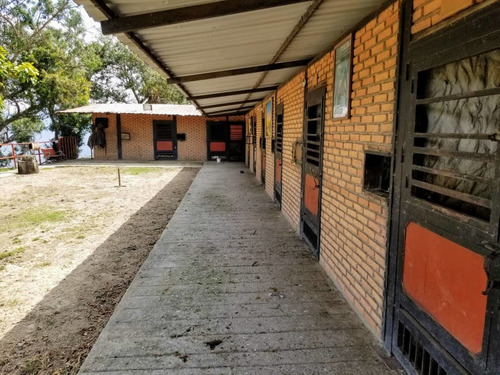 Imagen 7 de 12 de Casa De Campo En Venta En Floryana