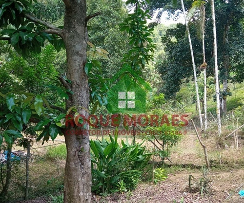 Imagem 12 de 30 de Sítio Medindo 34.000 M² No Vale Do Ribeira Sp Ref.: 0898