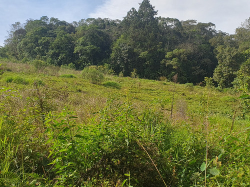 Terreno Sitio Chacara Lote Loteamento Com Lago 16.000 M² Ibiuna Sonho Tranquilidade Natureza Refugio