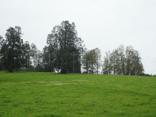 Agrícola En Venta En Paillaco