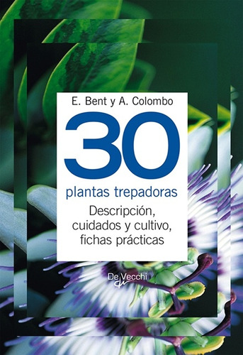 30 Plantas Trepadoras - Bent, Colombo