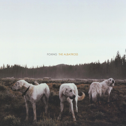 Vinilo: Foxing Albatross Usa Import Lp Vinilo