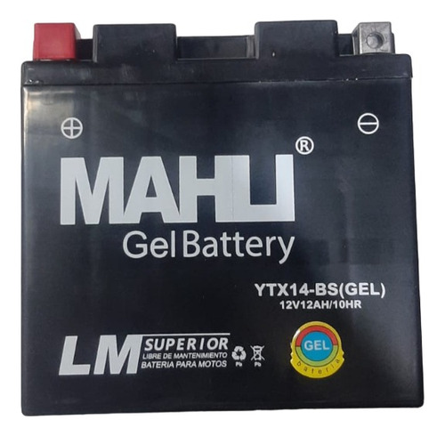 Bateria De Gel Bronco Ytx14-bs Para Bmw Gs 800 650 Rpm