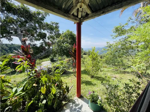 Se Vende Finca Productiva En San Roque, Antioquia.