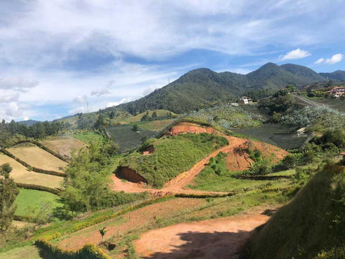 Lindo Lote De Terreno En Ls Verdeda Samaria/cerro En El Carmen De Víb.