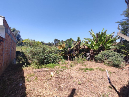 Imagem 3 de 12 de Terreno Para Venda Em Suzano, Jardim Das Flores - 944_1-1772740