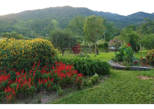 Imagem 9 de 15 de Sitio - Bom Retiro - Ref: 34332 - V-34329