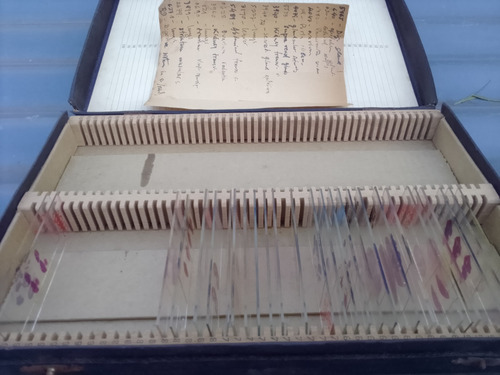 Antigua Colección De Preparados De Microscopio Histología (Usado)