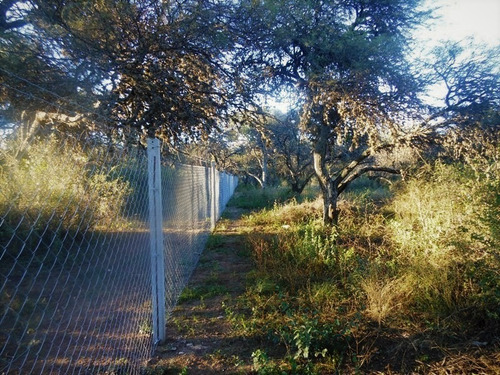 Imagen 1 de 10 de Chacra Terreno Con Bosque Nativo De 1.8 Has Cura Brochero