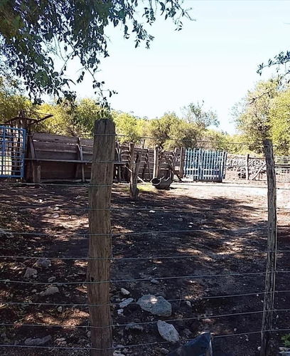Imagen 6 de 15 de Campo Calmayo