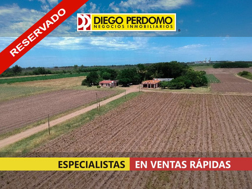 Campo De 26 Has En Venta, Colonia Wilson