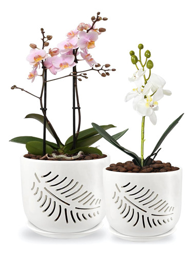 Macetas Para Orquídeas Litudiso Con Agujeros, Maceta Para Or