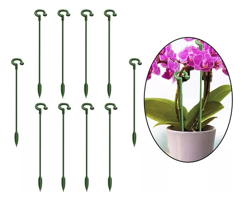 Soporte Para Flores Suculentas Phalaenopsis, Anticaída, 37 C