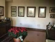 Imagen 15 de 22 de Venta Departamento Planta Terraza, Club De Golf Bosques $42'