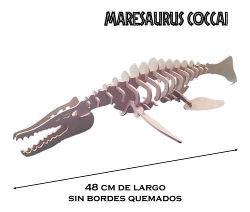 Imagen 6 de 9 de Coleccion Comp. 8 Dinosaurios Argentinos P/ Armar 3d Madera