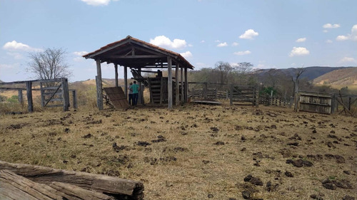 Imagem 12 de 13 de Fazenda Montada Pra Pecuária Município Unai