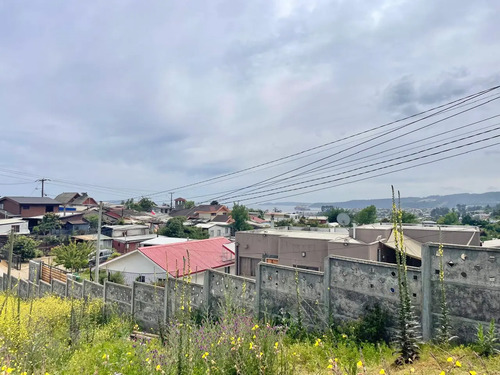 Terreno Urbano Penco