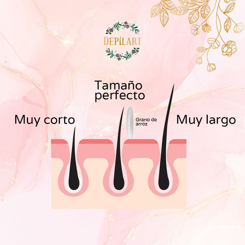 Kit Depilación Básico Spa