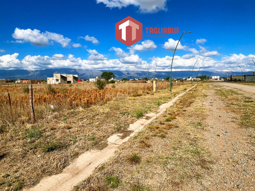 Terreno En  Estacion Conlara