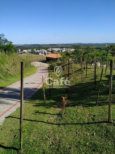 Imagem 25 de 30 de Terreno 12 X 25 Metros Real Park - 2855