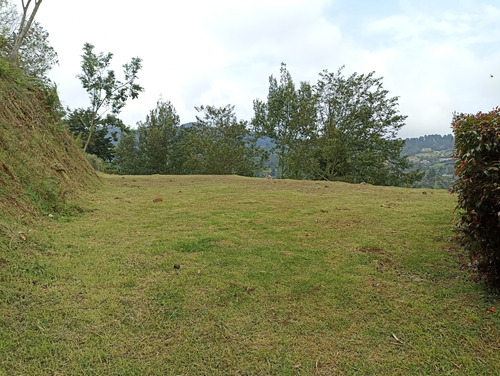 Venta Lote Envigado - Loma Del Escobero