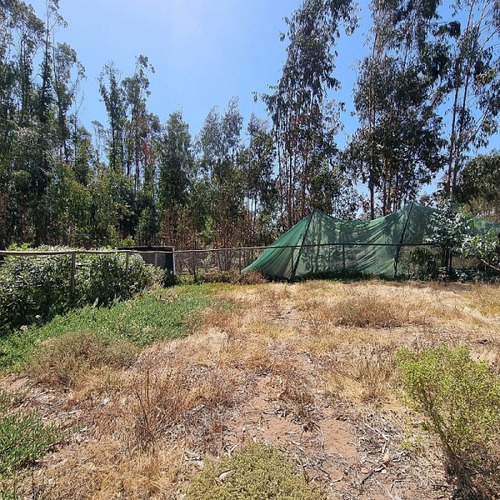 Bosques De Quilen, Costa Quilen, Puchuncaví